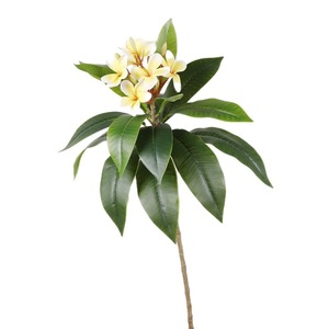 Plante artificielle QIHAO Frangipanier, fleurs jaunes et blanches, en plastique et soie, haute simulation, décoration intérieure, ornement pour la maison - Product Image 2