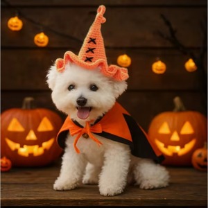 Costume de sorcière d'Halloween mignon pour chiens, chapeau et cape en coton orange avec décor de fond citrouille - Product Image 1