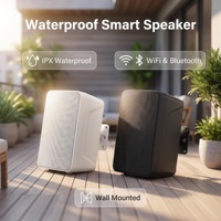 Enceinte intelligente étanche, synchronisation musicale, contrôle facile via l'application Wiim Home, design IPX, puissance de sortie 30-50W, sans microphone intégré