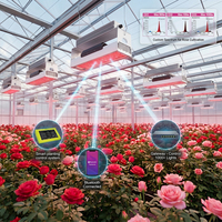 Lampe de culture LED commerciale ROHE à haut rendement 1000W, spectre complet, intensité variable, contrôle par application intelligente, remplacement HPS pour serre