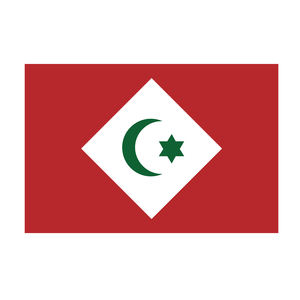 Werbe-Maßanfertigung Innen- und Außendekoration Banner Polyester-Stoff Nationalflagge Republik Rif 3x5FT Flaggen - Product Image 3