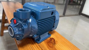 Moteur électrique d'irrigation durable PKM60 <span class=keywords><strong>Pedrollo</strong></span> <span class=keywords><strong>Pompe</strong></span> à eau usée 0,5 ch 1,0 ch - Product Image 5