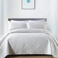 Ensemble de literie de luxe en microfibre à ultrasons, 3 pièces, couleurs variées, nouveau, vente en gros, édredon d'été