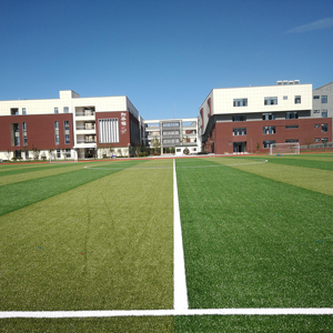 Manto erboso artificiale Non direzionale per il calcio <span class=keywords><strong>campo</strong></span> di calcio a cinque con altezza pila 30mm - Product Image 5