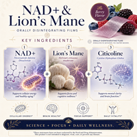 Films sublinguales à dissolution orale de Crinière de lion et NAD pour la clarté mentale et la concentration, certifiées biologiques UE, sans OGM, HACCP, Halal, livraison rapide, OEM