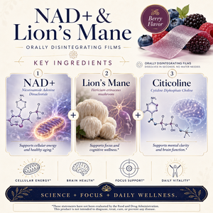 แผ่นฟิล์มละลายในช่องปากสารสกัดจากเหง้า<span class=keywords><strong>สิงโต</strong></span> NAD ช่วยเพิ่มความชัดเจนทางจิต สมาธิ ได้รับมาตรฐาน EU ออร์แกนิค ปราศจาก GMO HACCP ฮาลาล จัดส่งรวดเร็ว รับผลิตแบบ OEM - Product Image 2