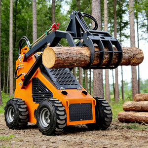 Spedizione Gratuita Mini Skid Steer con Caricatore Frontale da 380 kg e Accessori, Skid Steer Cingolato, Terna, Skid Steer - Product Image 1