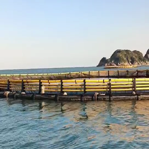 Jaula Circular para Peces de HDPE Resistente a la Corrosión del Agua Salada, Jaula para Cultivo de Peces en Aguas Profundas Anti-Tifón - Product Image 1