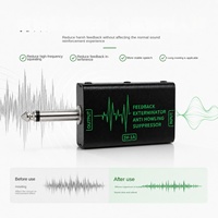 Suppresseur anti-Feedback portable 635 mm pour microphone, alimenté par USB-C, fabriqué en Chine pour karaoké et conférences audio