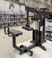 Appareil professionnel de musculation pour mollets, à charge libre (pile de poids et plaques), pour la musculation et l'entraînement de force en salle de sport commerciale
