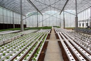 Hydrocultuur Groeiend Hydrocultuursysteem Verticale Landbouw <span class=keywords><strong>Co2</strong></span>-controller - Product Image 5