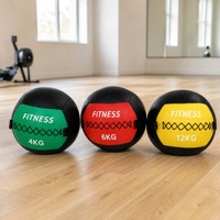 Fitness Wall Ball With Soft Outer Shell for Home Commercial Gym Studio Functional Strength Training Equipment Use