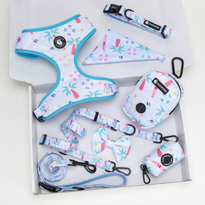 Arnés de neopreno para perros, acentos en forma de corazón, logotipo personalizado, collares de correa, juego de arnés, arneses para mascotas, dispensador de bolsas para caca, accesorios para perros - Product Image 2