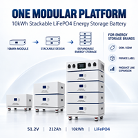 Batterie LiFePO4 empilable 10 kWh, 51,2 V, 212 Ah, batterie modulaire de stockage d'énergie domestique, OEM ODM, batterie solaire