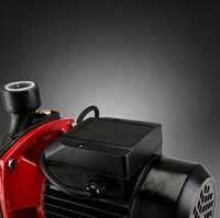 Pompe centrifuge électrique 1HP 220V 6,6 m³/h pour l'irrigation agricole, économique, durable et sûre, en vente
