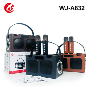 Altoparlante Karaoke Portatile Mini per Bambini con Luce RGB, Due Microfoni Wireless, Audio BT 16W, Batteria per Home Theatre e Canto all'Aperto - Product Image 5