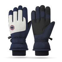 Gants imperméables coupe-vent personnalisés OEM Gants d'hiver chauds doublés en polaire antidérapants pour écran tactile pour hommes femmes Gants de ski