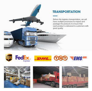 En gros Portable <span class=keywords><strong>Implant</strong></span> Dentaire Système Électrique <span class=keywords><strong>Implant</strong></span> Clé Moteur Couple Pilote Dentisterie Universel <span class=keywords><strong>Implant</strong></span> Réparation Outils - Product Image 6