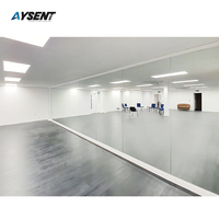 Modern Wall Silver Mirror 3mm-6mm Aluminum Float Glass Plate Decorative Total Reflection 4mm-5mm Coated Silver Mirror