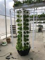 Ferme aquaponique ONE-one Systèmes hydroponiques verticaux Serre