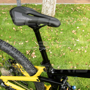 Vélo de montagne léger à pneus larges 29"*2.5, 12 vitesses, moteur central 750W, freins à disque hydrauliques, 45 km/h, EAM-2 - Product Image 2
