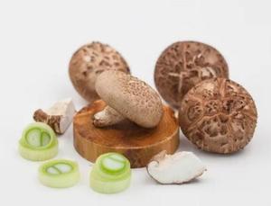 Honghao toplu % kurutulmuş şitake mantarı toz saf <span class=keywords><strong>Shiitake</strong></span> tozu - Product Image 2