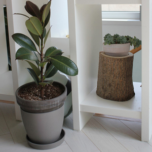 Maceta Moderna Plafarm Marrón de PP No. 2 con Riego Inferior y Indicador de Nivel de Agua Visible para Plantas de Interior, Oficina, Escritorio y Vivero - Product Image 6