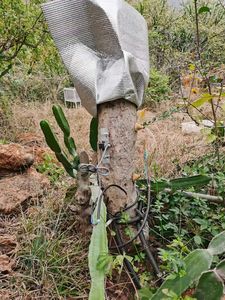 Capteur de déplacement linéaire à ressort arrière KTR4, résistance, indice de protection IP65, aluminium, haute précision, sortie analogique pour la croissance des plantes - Product Image 5