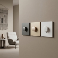 Prise murale BENDI C60 1 prise avec interrupteur de contrôle de vitesse AC250V 5A IP20 ignifuge PC pour l'Asie du Sud-Est et le Moyen-Orient