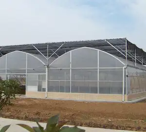 Low Cost MultI-span Plastic Film Agricultural Greenhouse Hydroponic System Greenhouses