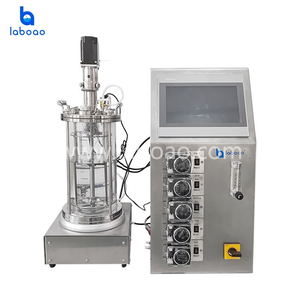 LABOAO Benchtop 1L 2L 3L 5L 7L 10L Bioréacteur en verre Fermenteur de laboratoire pour la culture de bactéries - Product Image 2