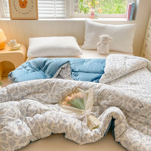 Couette de lit épaissie d'hiver chaude et douce Couette en polyester à motif de dessin animé avec remplissage complet - Product Image 4