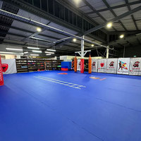 Tapis de sol de protection en cuir Composite XPE écologique de 10mm d'épaisseur pour la gymnastique danse Yoga Taekwondo Sanda Judo pliable