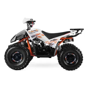 Motore Tao 2024 nuovo Design sportivo con trasmissione a catena manuale Quad 1000cc 150CC automatico Atv Bike 125cc avviamento elettrico Atv 110cc motore