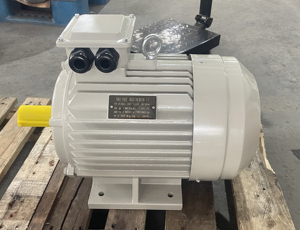เครื่องกำเนิดไฟฟ้ากระแสสลับแบบอะซิงโครนัสสามเฟส YE2-132S-4 5.5 กิโลวัตต์ 7.5 แรงม้า 1460 รอบต่อนาที พร้อมมอเตอร์เกียร์สามเฟสแบบเหนี่ยวนำไฟฟ้า - Product Image 5