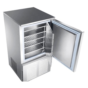 Refrigerador Vertical Comercial Profesional Automático para Cocina de Catering, Congelador Rápido para Pescado y Alimentos - Product Image 2