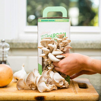 Kit de culture de champignons bio Cadeau de jardinage Kit de culture de champignons d'huîtres Set de culture de jardin