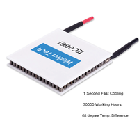 Modules Peltier TEC1-04901, cellules de refroidissement thermoélectriques, nouvelle plaque de silicium pour les installations médicales, les appareils de beauté, les humidificateurs