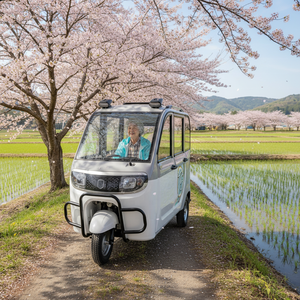 <span class=keywords><strong>Tuk</strong></span>-<span class=keywords><strong>tuk</strong></span> électrique à 5 portes et 4 places, prix de gros HLD, avec carrosserie fermée, nouveau design, autonomie de 90 km, tricycle électrique - Product Image 1