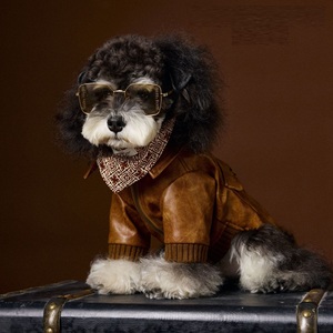 เสื้อผ้าสัตว์เลี้ยง เสื้อแจ็คเก็ตหนัง PU สไตล์อังกฤษย้อนยุคสำหรับสุนัข แขนยาว <span class=keywords><strong>กางเกง</strong></span>สองสายรัดเก๋ไก๋ คุณภาพสูง โลโก้ปรับแต่งได้ - Product Image 6