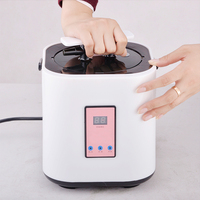 Generatore di Vapore per Sauna Portatile Moderno Brevettato in Acciaio Inox con Telecomando Capacità 2L per Uso in Appartamento Macchina SPA