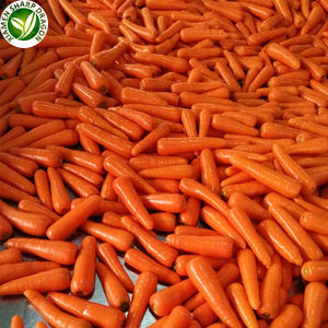 <span class=keywords><strong>Prix</strong></span> <span class=keywords><strong>de</strong></span> gros pour l'exportation <span class=keywords><strong>de</strong></span> carottes surgelées IQF biologiques - Product Image 4