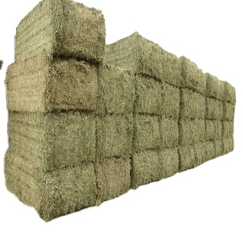 Украина Alfalfa Hay