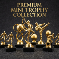Trophées et Plaques Métalliques Personnalisés en Gros pour Récompenses Sportives, Coupes de Marathon, et Trophées de Tournois de Football Junior