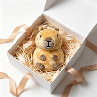 Peluche Capybara Personnalisée, Jouet en Peluche Adorable, Poupée Douce, Fabricant OEM ODM, Cadeau pour Enfants, Conception Personnalisée en Usine