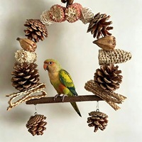 Vogelspeelgoed Vogelkooien Hangbruggen Papegaaienschommels Natuurlijk fruit Rotanballen Kleine vogels Entertainment Klimmen Kauwen