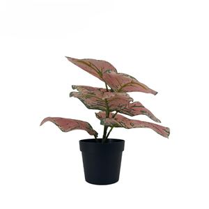 Pianta Artificiale in Plastica con Foglie Verdi da 25cm, Resistente all'Acqua e ai Raggi UV, Ecologica per Decorazione Casa e Vita <span class=keywords><strong>Verde</strong></span> - Product Image 3