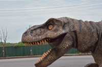   Costume de dinosaure fait main, haute technologie, portable, grande taille, modèle animatronique