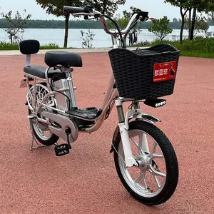 Продажа 18-дюймового электрического велосипеда для взрослых, бомбардировщик-невидимка, 48 В
