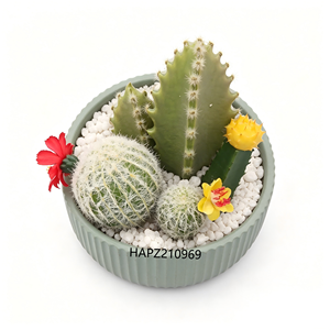 Composizione Artificiale di <span class=keywords><strong>Cactus</strong></span> e Succulente in Vaso di Cemento Scanalato con Ciottoli Bianchi, Pianta del Deserto Finta per Arredamento Casa - Product Image 2